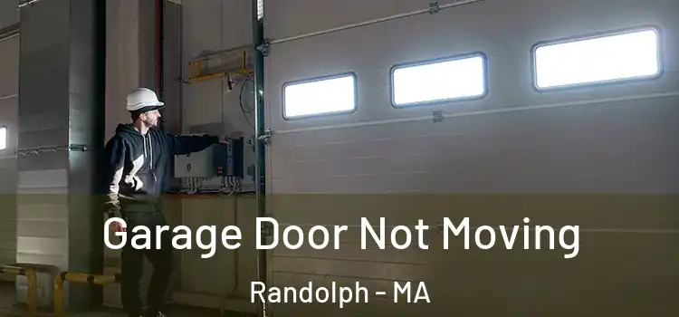  Garage Door Not Moving Randolph - MA
