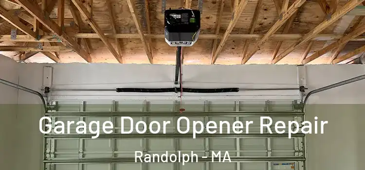  Garage Door Opener Repair Randolph - MA